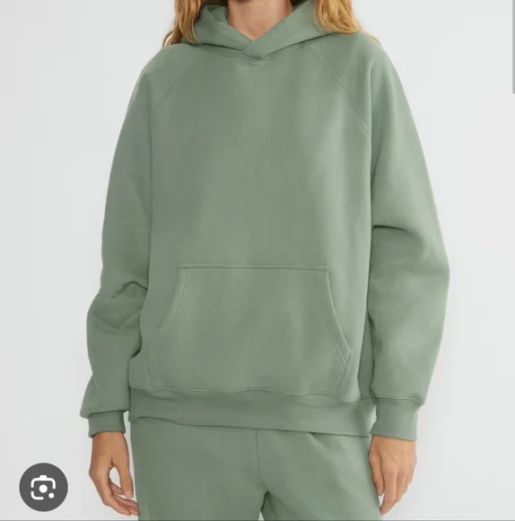 Aritzia Cozy Sweatfleece Mega Raglan Hoodie - Smoky Sage - Picture 3 of 4